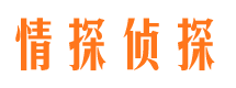 阳新市侦探调查公司